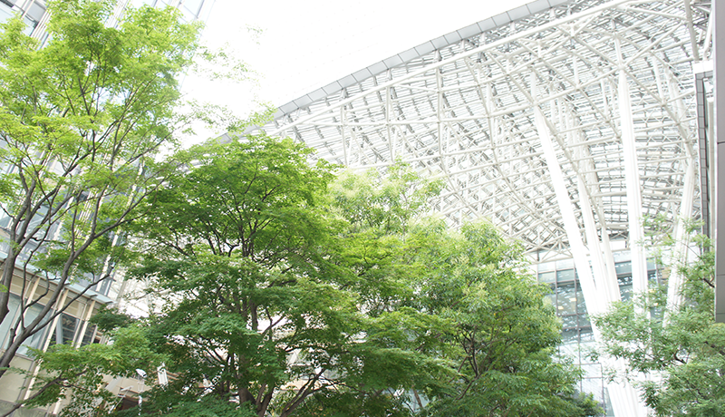 老品牌彩牌网址下载官网 彼は実際にHeshuo草原の大部族のリーダーになりました