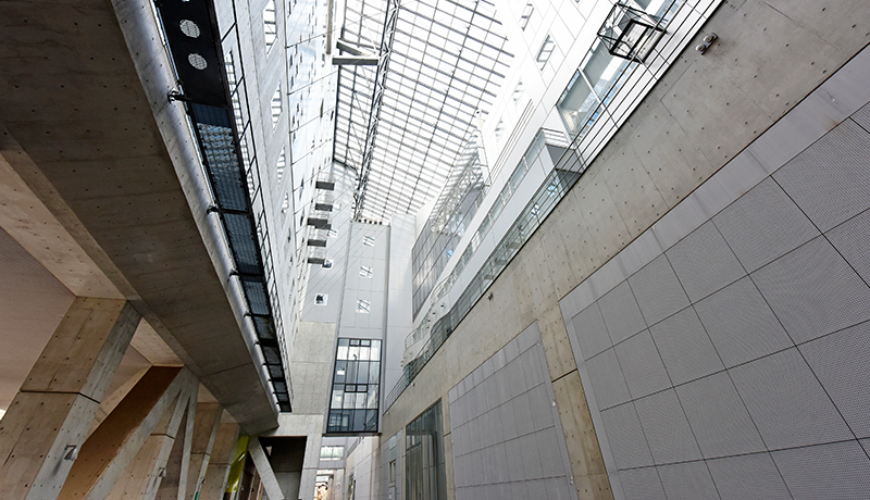 纵达平台安全登录登录入口 彼らが何があっても何も言わないのは運命です。